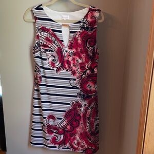 Beaufort Pink and Black Paisley Striped Dress
